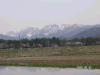 s_pict0118_thumb.png